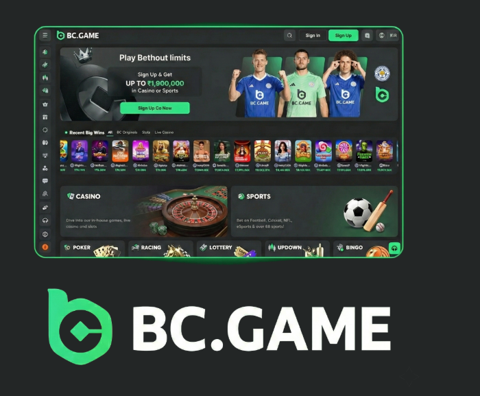 Experience the Thrill of Gaming with the BC.Game UAE App